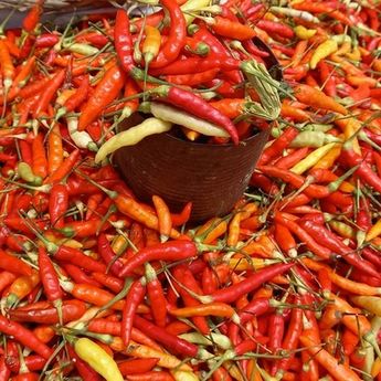 Daftar Harga Bahan Pokok Jelang Idul Adha 2023:  Harga Diprediksi Stabil 