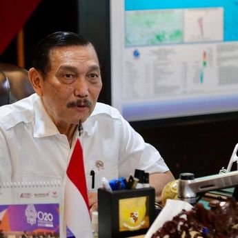 Minyakita Langka dan Mahal, Luhut Turun Tangan