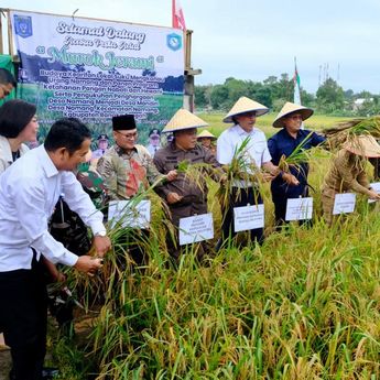 Dukung Kemandirian Desa, PLN Bantu Bibit Padi dan Pemanfaatan FABA untuk Pupuk di Bangka Tengah
