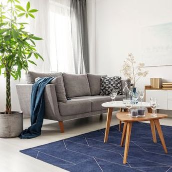 4 Posisi Terbaik Meletakkan Sofa di Ruang Keluarga Berdasarkan Feng Shui  
