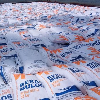 Bapanas Surati Bulog untuk Segera Impor 500.000 Ton Beras