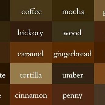 10 Macam Warna Coklat: Sejaran Hingga Fakta Unik di Baliknya   