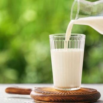 Ternyata Ini Faktanya! Bolehkah Minum Susu Setelah Minum Obat?