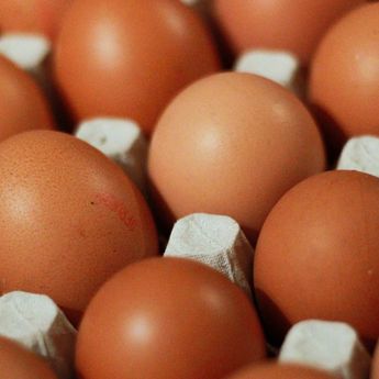 Indukan Ayam Ditambah, Harga Telur Bakal Turun dalam 2 Minggu Lagi