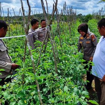 Sosok Iptu Widi Tupilia, Polwan Cantik Yang Jabat Kapolsek Bakam, Dikenal Dekat Dengan Masyarakat