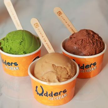 Berapa Lama Es Krim Bertahan di Freezer Setelah Dibeli Dari Toko?