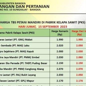 TBS Sawit di Wilayah Kabupaten Bangka Kini Kembali Merangkak Naik Setelah Sepekan Turun