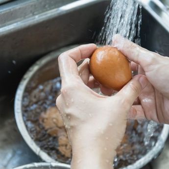 Jangan Cuci Sebelum Simpan, Berikut 6 Kesalahan Simpan Telur
