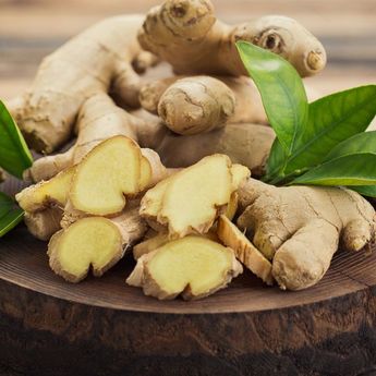 Ampuh Redakan Mual hingga Turunkan Berat Badan, Ini 3 Manfaat Jahe
