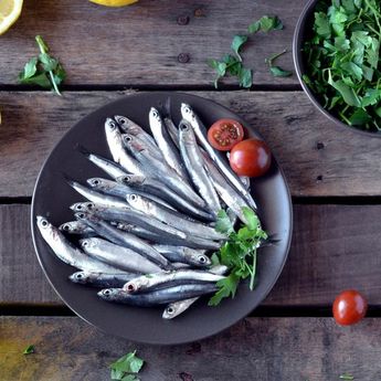 Bukan Salmon, Berikut 4 Ikan Paling Sehat untuk Dimakan  