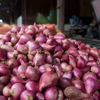 Masuk Musim Panen, Kementan Waspadai Anjloknya Harga Bawang Merah
