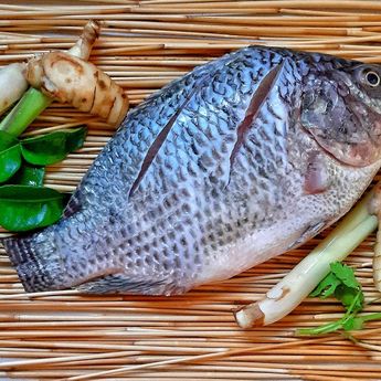 5 untuk Jenis Ikan yang Baik untuk Kesehatan Ginjal, Apa Saja?  