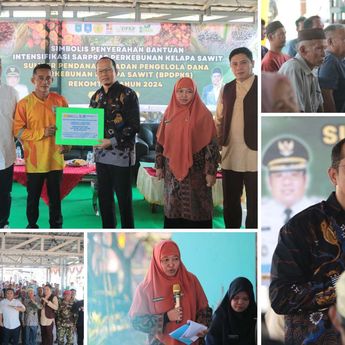 Ada Suntikan Dana 1,5 M Bupati Bangka Tengah Dorong Produktivitas Sawit Desa Kerantai