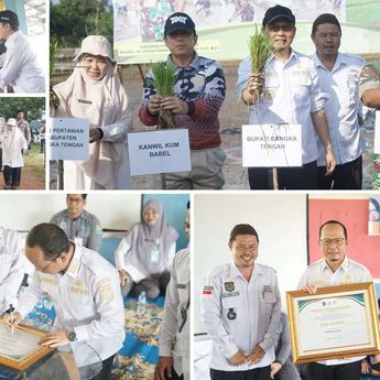 Desa Namang Berdaya, Tanam Padi Pertama Hingga Wakili Bangka Tengah di Ajang Desa Cinta Statistik