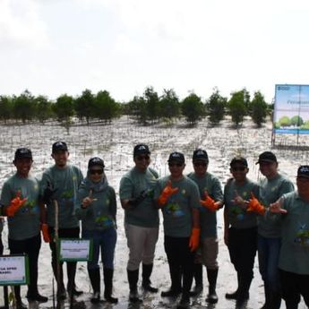 Jaga Kelestarian Ekosistem Pesisir, Lanal Babel Ikut Tanam Mangrove di Penyak Bangka Tengah