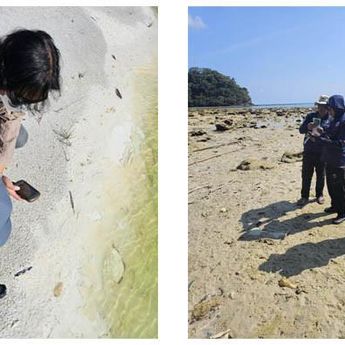 Terkait Tapak Pembangkit Listrik Tenaga Nuklir di Pulau Gelasa, Ini Hasil Verifikasi Tim Bapeten!