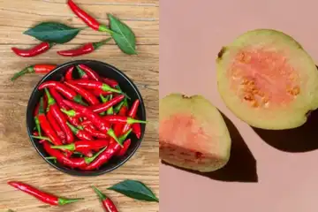 Cabai dan Jambu bikin Usus Buntu