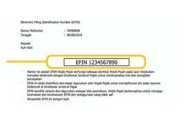 Ilustrasi nomor EFIN