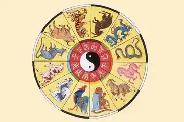 Ilustrasi ramalan shio