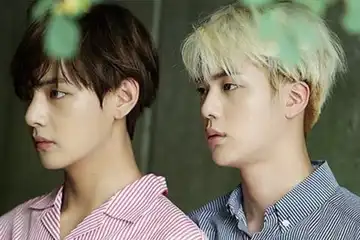 V dan Jin BTS