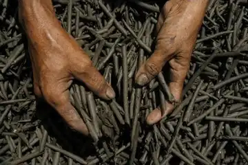 Ampo khas pati