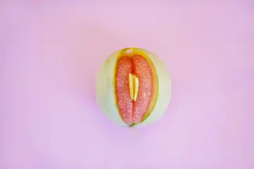 Ilustrasi vagina atau Miss V.