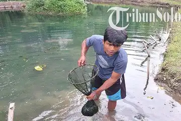 Slamet, Petani Lumut asal Boyolali