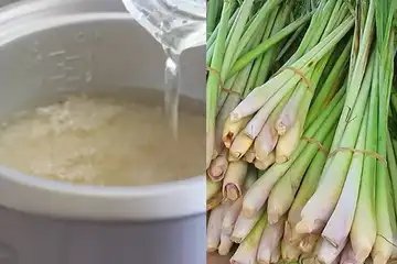 Emak-emak Selamatkan Keluarga Sekarang! Coba Masak Nasi Ditambah ...