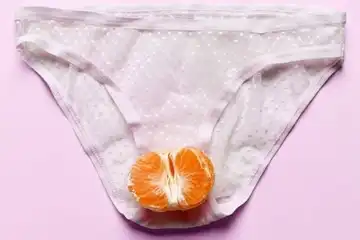 Ilustrasi celana dalam