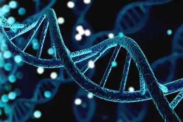 7 Perbedaan DNA dan RNA (ilustrasi DNA)