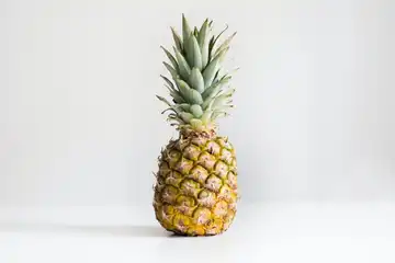 Ilustrasi nanas