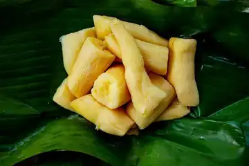 Manfaat tape singkong untuk kesehatan