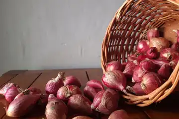 Illustrasi Bawang Merah 