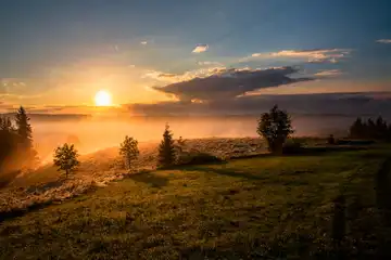 Ucapan Selamat Pagi Bahasa Jawa 