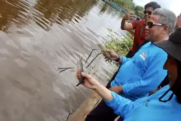 Lomba Memancing Udang Menanjak, di Sungai Berembang Desa Sungai Rengas, Kecamatan Sungai Kakap pada Minggu (30/10) kemarin.