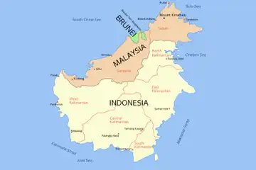 Illustrasi Kalimantan