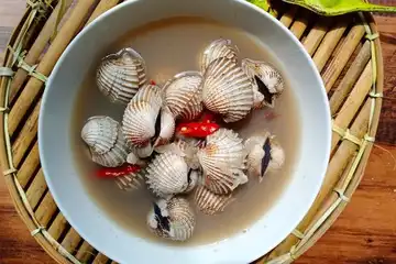 Illustrasi Sup Kerang Dara