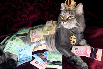 Ilustrasi zodiak paling royal, tidak hitungan dan suka beri hadiah mahal.