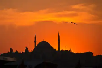 Ilustrasi hikmah beriman kepada Rasul Allah SWT.