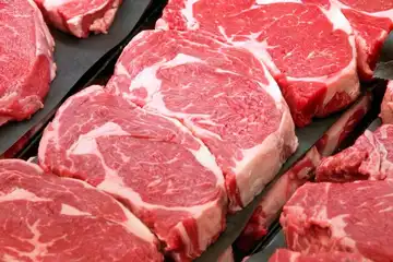 Ilustrasi daging