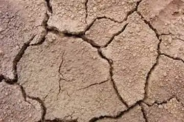 Jenis Tanah di Indonesia dan Persebarannya