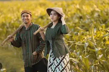 Contoh paribasan bahasa jawa.