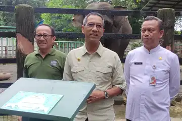Penjabat Gubernur DKI Jakarta Heru Budi Hartono saat memberi nama anak gajah dan anak jerapah di Taman Margasatwa Ragunan, Jakarta Selatan, Jum'at (03/02/2023) 