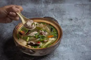 Illustrasi Sup Ayam