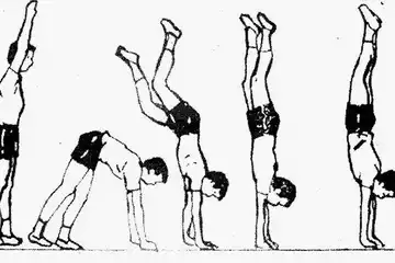Ilustrasi cara melakukan gerakan handstand