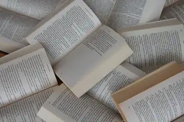 Ilustrasi struktur novel