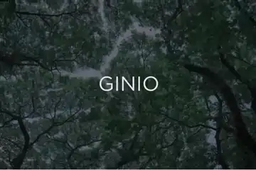 Ilustrasi lirik dan chord lagu 'Ginio' - Gilga Sahid feat. Dinda Teratu.
