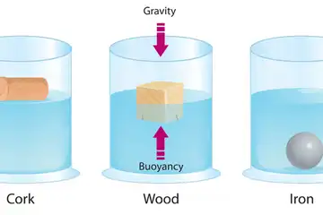 Bunyi hukum archimedes.