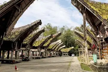 Rumah tongkonan Tana Toraja.