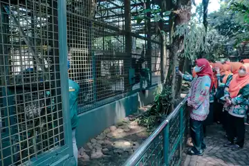 Istri Pj Gubernur DKI Jakarta, Mirdiyanti Budi Hartono pada saat memberikan nama sepasang komodo penghuni baru di kandang Komodo Taman Margasatwa Ragunan, Jakarta Selatan, Jumat (26/5/2023). 